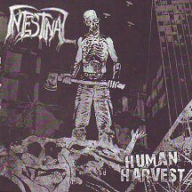 Intestinal - "Human Harvest"