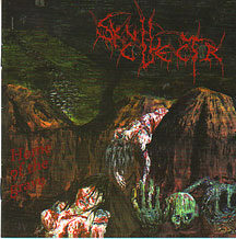 Skull Collector - "Home of the Grave"