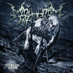 Cover for Monumental Torment - Element of Chaos