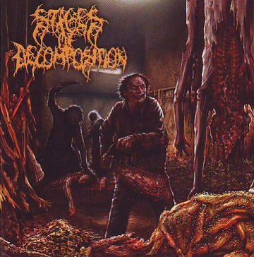 Cover for Stages Of Decomposition - Piles Of Rotting Flesh