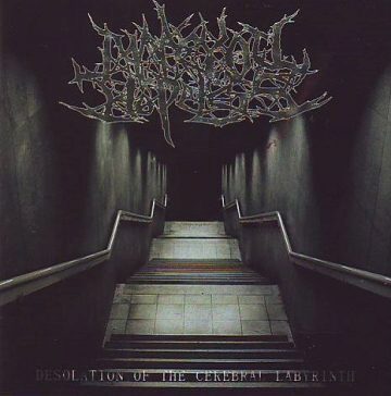Cover for Make You Hopeless - Desolation of the Cerebral Labyrinth