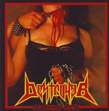 Cover for Destroyer - Slashing Metal