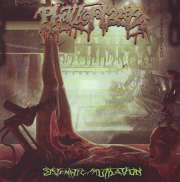 Cover for Phalloplasty - Systematic Mutilation