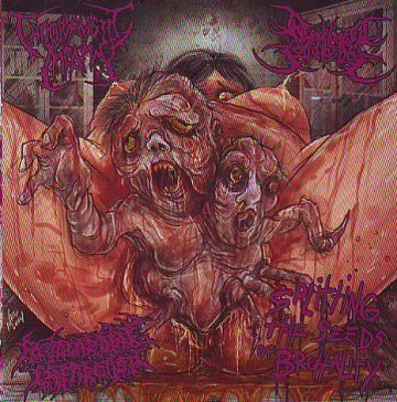 Cover for Splitting the Seeds of Brutality (3 Way Split CD)