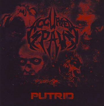 Cover for Accursed Spawn - Putrid (MCD)