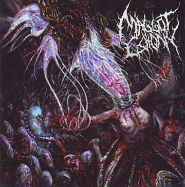 Cover for Maggot Colony - Perpetuating the Viral Infestation