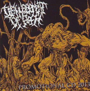 Cover for Disfigurement of Flesh - 2013 Promo CD