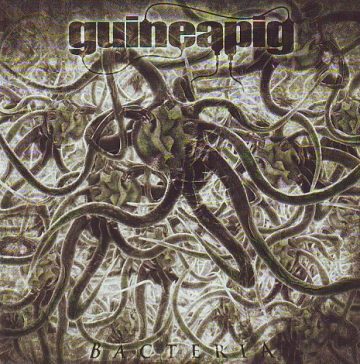 Cover for Guineapig - Bacteria