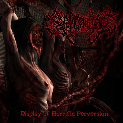 Cover art for Display of Horrific Perversion