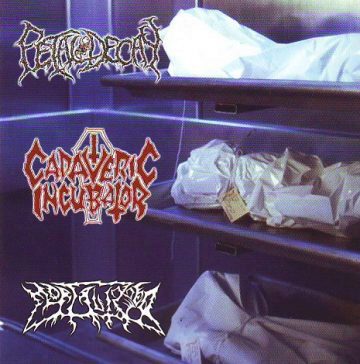 Cover for Cadaveric Incubator/Fetal Decay/Mortalized - 3 Way Split CD