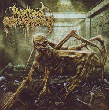 Cover for Rotting Repugnancy - Path of the Diminished
