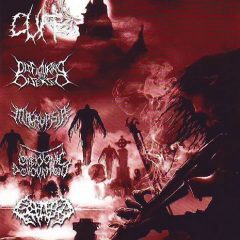 Cover for 5 Way Slam - Cuff, Embryonic Devourment, Macropsia, Splattered Entrails, Disfiguring the Diseased