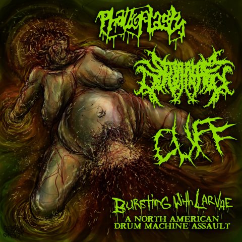 Bursting With Larvae - A North American Drum Machine Assault Cover for Bursting With Larvae