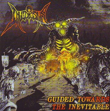 Cover for Invidiosus - Guided Towards the Inevitable