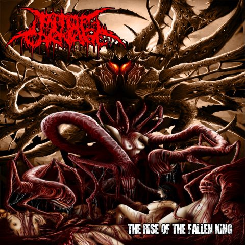 Rise of the Fallen King cover art