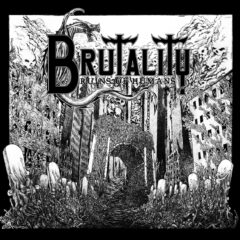 Brutality - Ruins of Humans (2 Song CD)