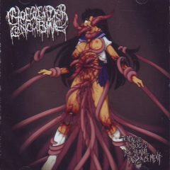 Cover for Cheerleader Concubine - Tentacle Induced Intestinal Displacement