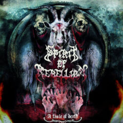 Cover for Spirit of Rebellion - A Taste of Death