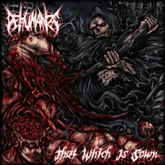 Cover for Dehumanize - That Which Is Sown