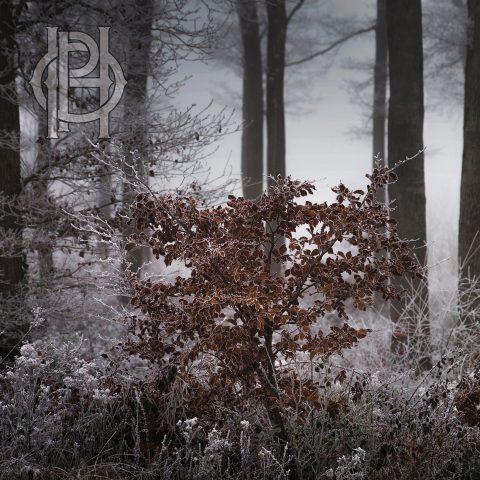 Album art for Embrace by Hell is Other People
