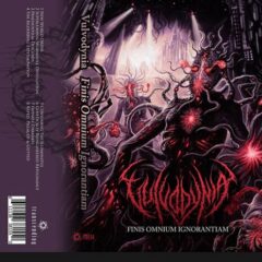 Cover for Vulvodynia - Finis Omnium Ignorantiam