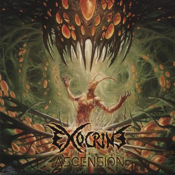 Cover for Exocrine - Ascension (Digi Pak)