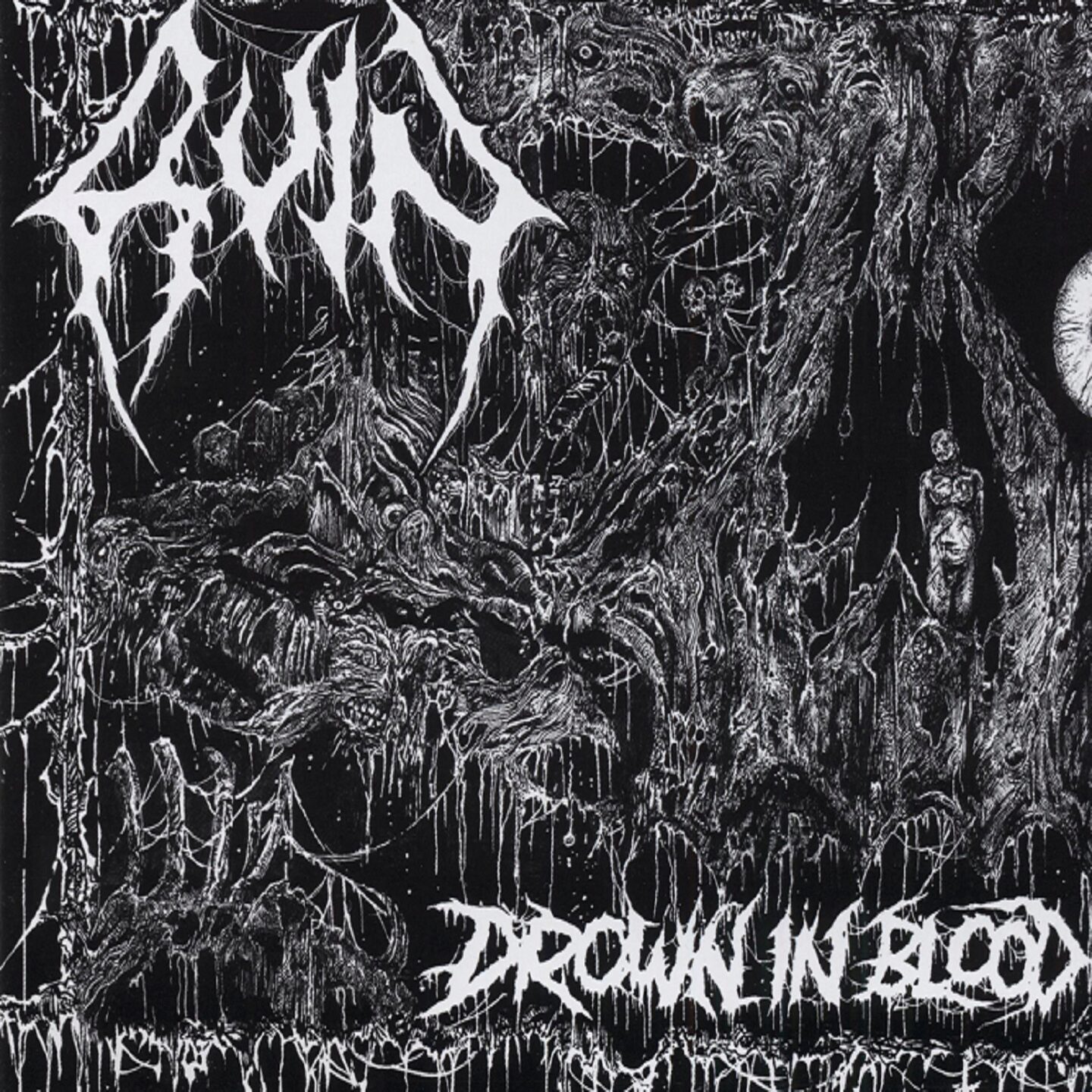 Cover for Ruin - Drown in Blood