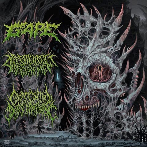 Cover art for International Solidification Split