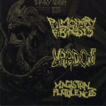 Cover for Pulmonary Fibrosis/Magistral Flatulences/L.A.R.D.O.N. - Split CD