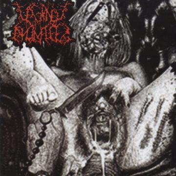 Cover for Vaginal Anomalies - Two Maniac Perverts Vomiting Shit And Putrefaction