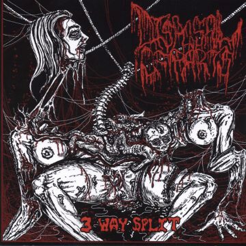 Cover for Disposal of Parts 3 Way Split - Putrefuck / Dead Fetus Collection / Pulmonary Fibrosis