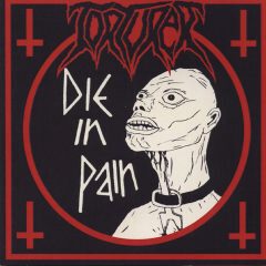 Cover for Torturer - Die in Pain
