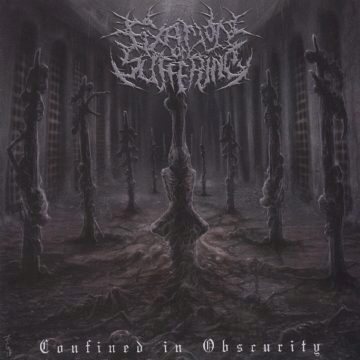 Cover for Fixation on Suffering - Confined in Obscurity