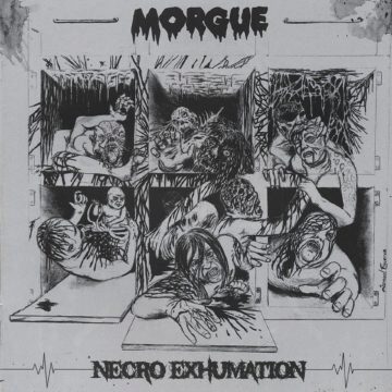 Cover for Morgue - Necro-Exhumation