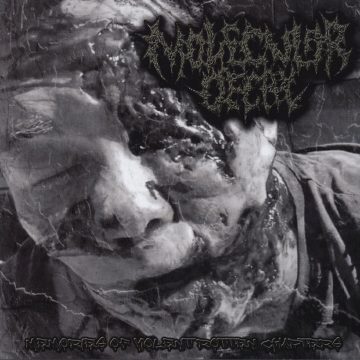 Cover for Molecular Decay - Memories of Violent Rotten Chapters