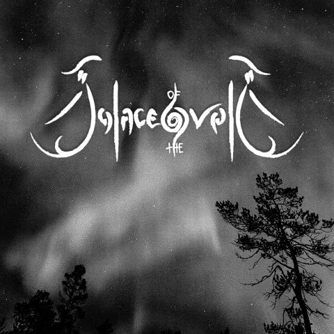 Cover art for Solace of the Void