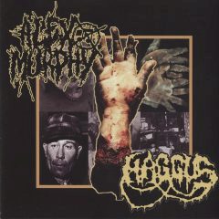 Cover for Haggus / Alex Murphy - Split CD