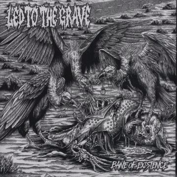 Cover for Led to the Grave - Bane of Existence