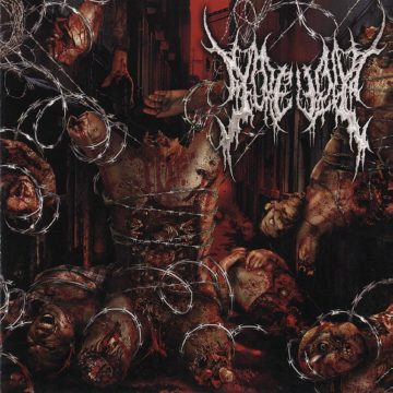 Cover for Gorevent - Abnormal Exaggeration