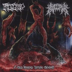 Cover for Indignity / Krocophile - A Cold-Blooded Torture Chamber