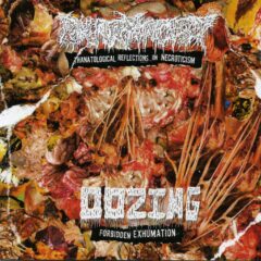 Cover for Pharmacist / Oozing - Split CD