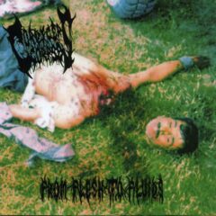 Cordyceps Corpse - Flesh to Fluids