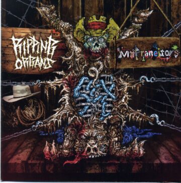 Cover for Ripping Organs / Marraneitors - Split CD