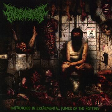 Cover for Phlegmlord - Entrenched in Excremental Fumes Of The Rotting