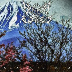 Cover for Breath of Wind - Sakura