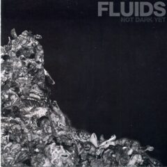 Cover for Fluids - Not Dark Yet