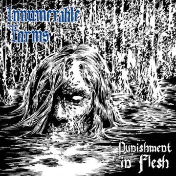 Cover for Innumerable Forms - Punishment in Flesh