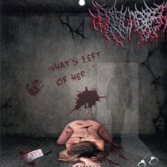 Cover for Dislabia - What's Left of Her