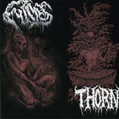 Cover for Fumes / Thorn - Split CD