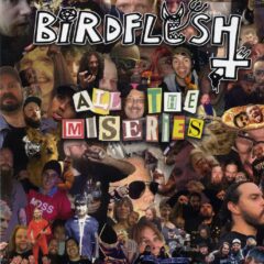 Cover for Birdflesh - All The Miseries